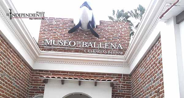 Pese a inconvenientes, La Paz tendrá el Museo de la ballena más importante de américa latina Pese a inconvenientes, La Paz tendrá el Museo de la ballena más importante de américa latina