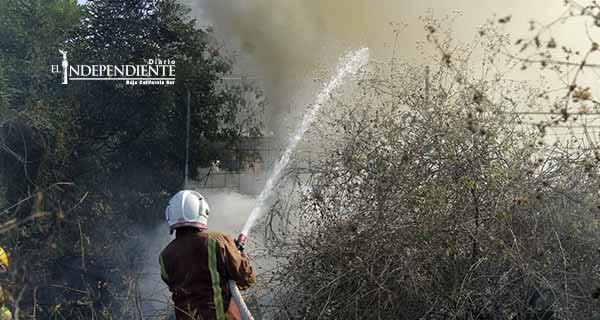 Incendio de pastizal desata pánico entre vecinos de colonia Buenos Aires