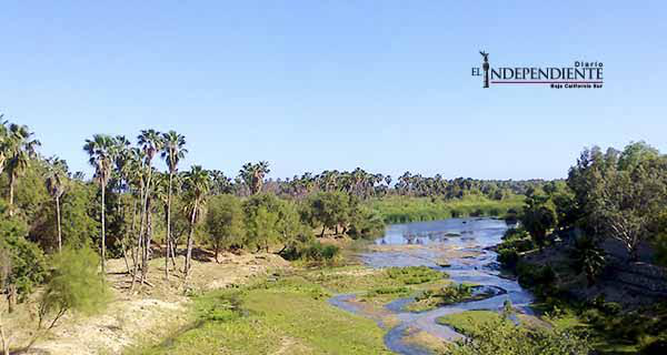 El municipio no puede solo con el estero de SJC, advierte director de Ecología y Medio Ambiente