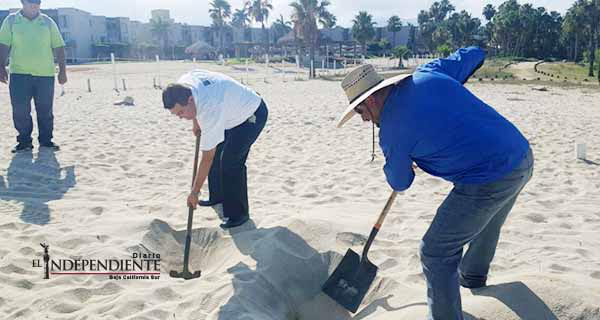 Gobierno Municipal instala cerco protector para recibir al Gallito Marino en el estero SJC Gobierno Municipal instala cerco protector para recibir al Gallito Marino en el estero SJC