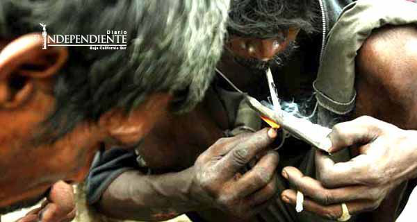 Fumar escorpiones: Droga poderosa y dañina para 'un viaje' de 10 horas Fumar escorpiones: Droga poderosa y dañina para 'un viaje' de 10 horas