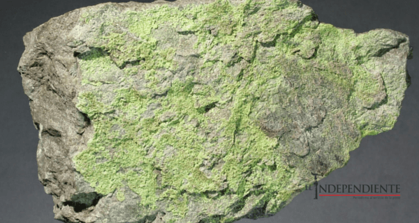 Uranio de BCS no debe ser aprovechado por privados ni extranjeros: Sindicato Minero