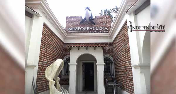 El Museo de la Ballena deberá ser el centro de estudios, investigación y conservación de BCS y el mundo El Museo de la Ballena deberá ser el centro de estudios, investigación y conservación de BCS y el mundo