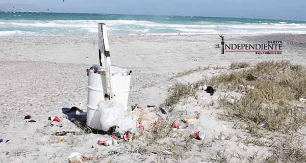 Trabaja el Ayuntamiento en la mejora y limpieza de las playas de La Paz Trabaja el Ayuntamiento en la mejora y limpieza de las playas de La Paz