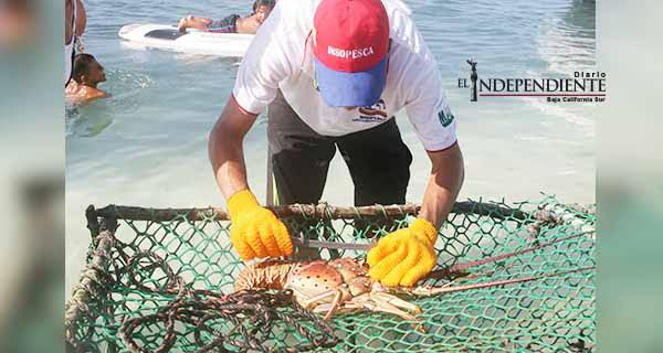 PGR apresó a un individuo por violar leyes ambientales