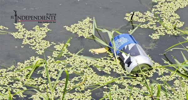 Consejo Asesor del Estero Josefino lleva 3 años sin sesionar Consejo Asesor del Estero Josefino lleva 3 años sin sesionar