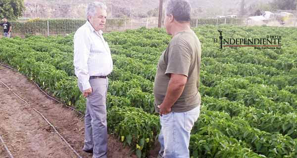 Darán apoyo a los productores de la Sierra de San José de Magdalena Darán apoyo a los productores de la Sierra de San José de Magdalena