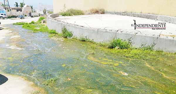 5 años han pasado y no pueden solucionar derrame de aguas negras