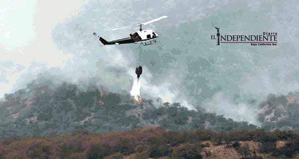 Incendio forestal afecta 20 mil hectáreas en Sonora Incendio forestal afecta 20 mil hectáreas en Sonora