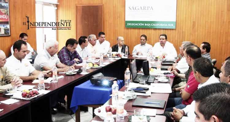 Invertirá SAGARPA 83.5 mdp en apoyo a productores de BCS Invertirá SAGARPA 83.5 mdp en apoyo a productores de BCS