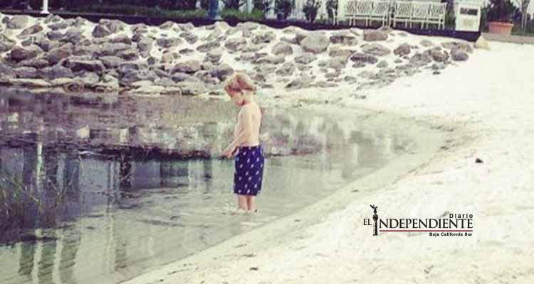 Pequeño de dos años fue muerto por un reptil en Disney