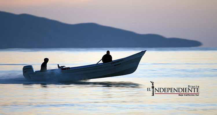 70 MDP destinará SAGARPA a pescadores afectados por veda en Golfo de Ulloa 70 MDP destinará SAGARPA a pescadores afectados por veda en Golfo de Ulloa