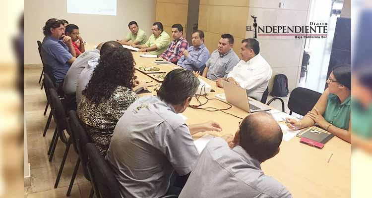 Los Cabos puede ser punta de lanza en cumplimiento de la Ley de Transparencia Los Cabos puede ser punta de lanza en cumplimiento de la Ley de Transparencia