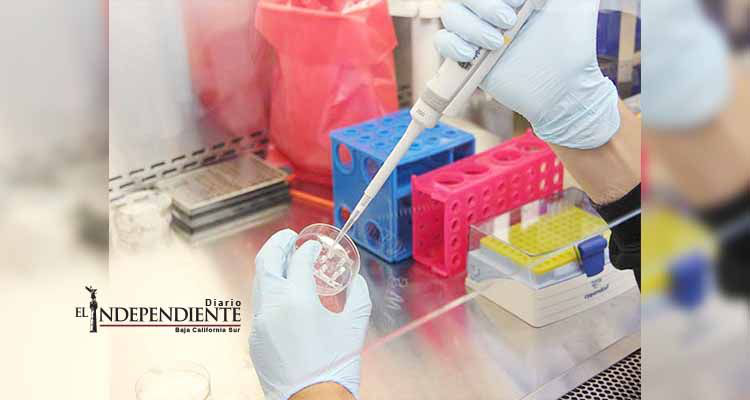 Hallan en EU bacteria ‘súper resistente’ Hallan en EU bacteria ‘súper resistente’