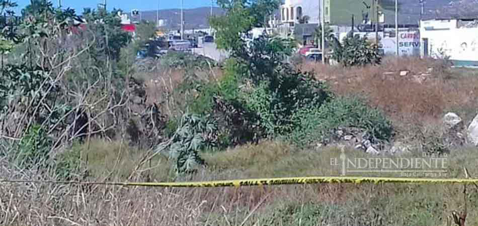 Localizan cuerpo “embolsado” en CSL Localizan cuerpo “embolsado” en CSL