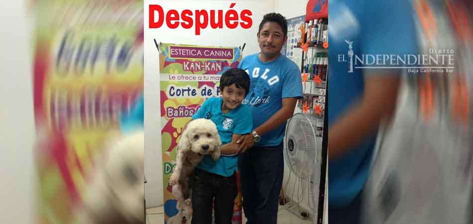 Rehabilitan a ‘saqueadorcito’ y… hasta frituras y croquetas recibe