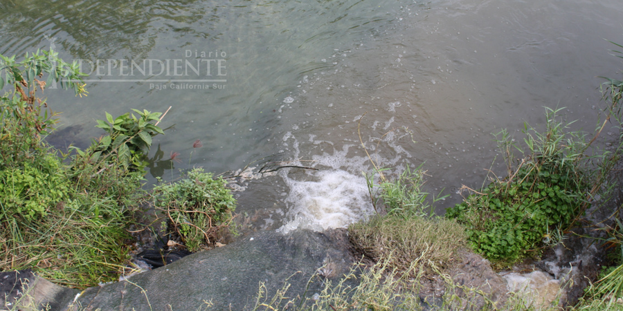 Reutilizarán agua tratada de Fonatur para liberar de contaminación al Estero Reutilizarán agua tratada de Fonatur para liberar de contaminación al Estero