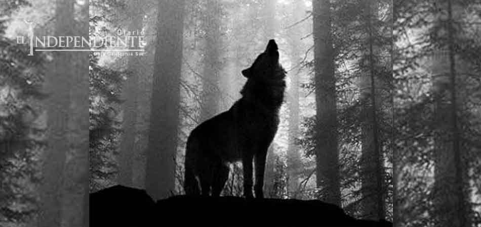 ¿Qué pasa con tu cuenta de Facebook cuando mueres?