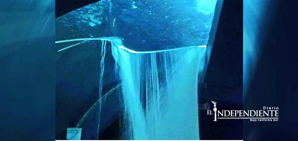 Colapsa tiburonario de Mazatlán 38 días después de ser inaugurado