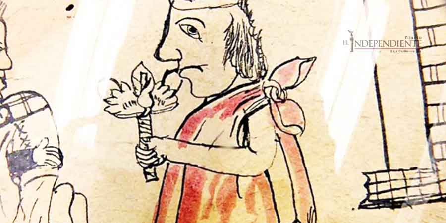 Restauran códice en maguey