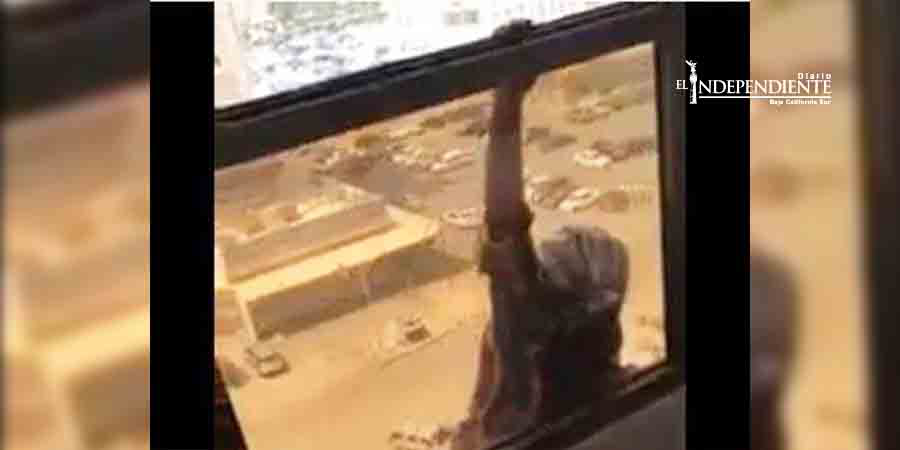 Mujer graba cómo su empleada doméstica cae desde un séptimo piso Mujer graba cómo su empleada doméstica cae desde un séptimo piso