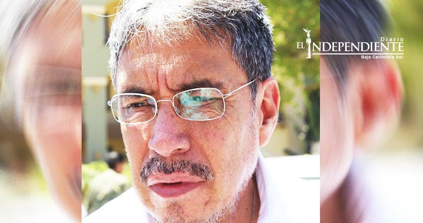 Reportan 13 detenidos y 24 armas aseguradas recientemente en Los Cabos 