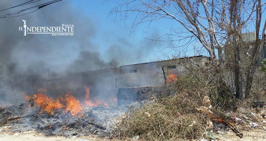 Reporta bomberos incremento de incendios en predios baldíos