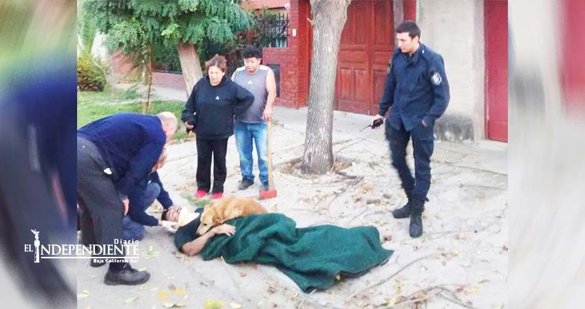 Se accidenta y su perro lo abraza hasta que llega la ambulancia Se accidenta y su perro lo abraza hasta que llega la ambulancia