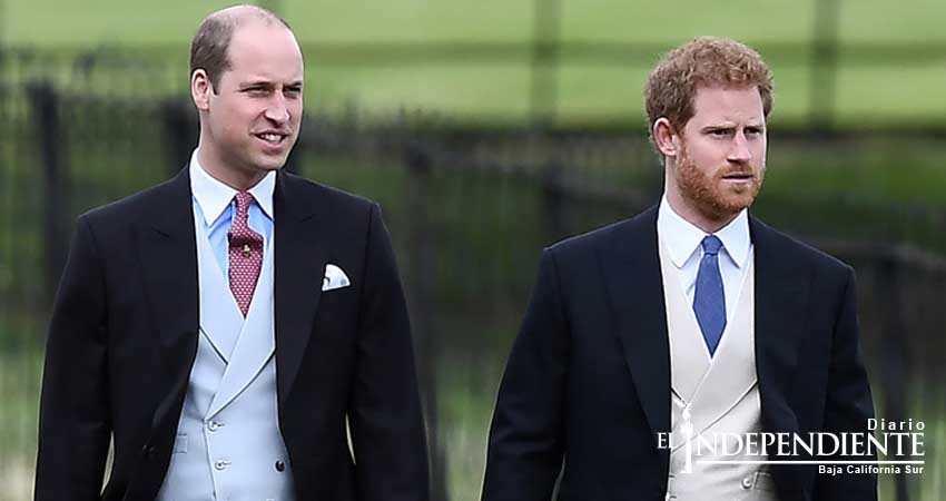 Guillermo y Enrique filman documental de la princesa Diana