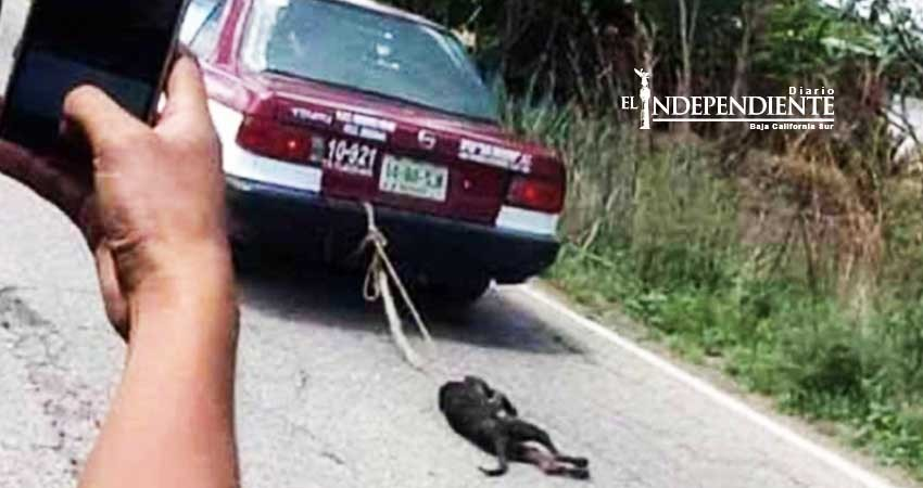 Taxista arrastra a perro por la carretera en Oaxaca