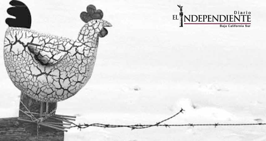 Promueven coleccionismo entre jóvenes