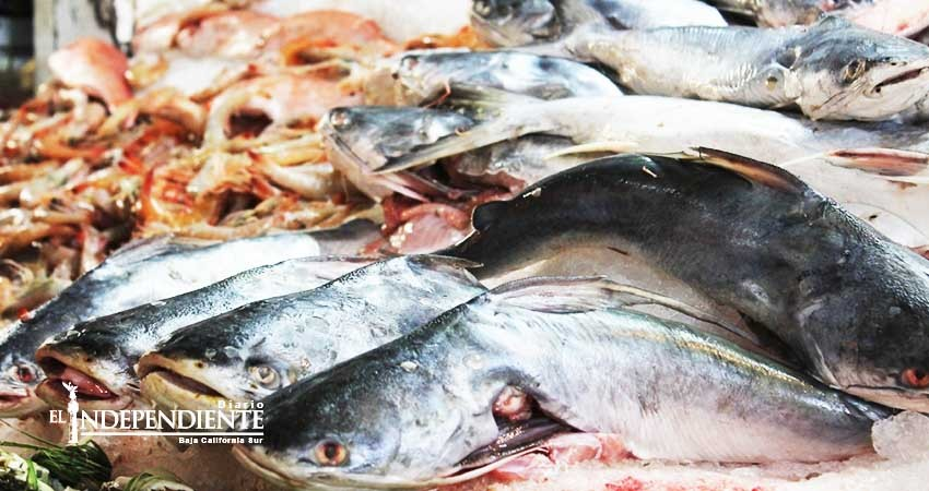 Pese a verificaciones sanitarias, se disparan enfermedades gastrointestinales