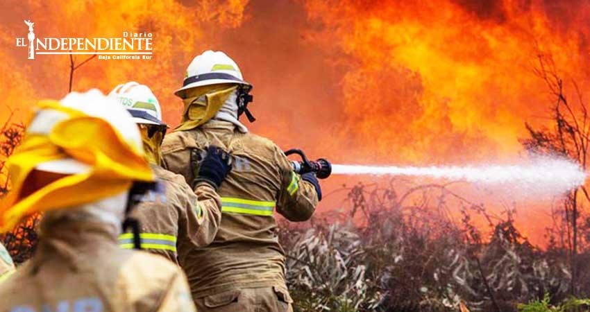 Infierno en Portugal, uno de los peores incendios de la historia