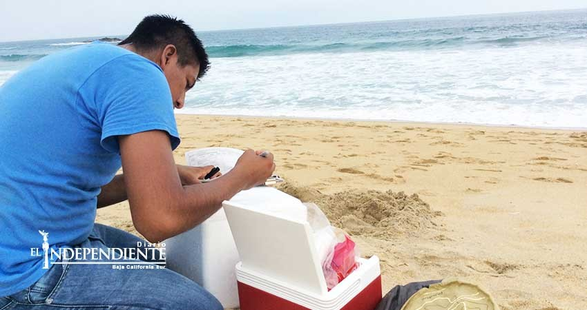 Mantiene Coepris veda sanitaria en la bahía de La Paz Mantiene Coepris veda sanitaria en la bahía de La Paz
