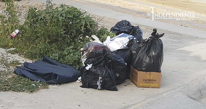 Más de una tonelada de basura al día generan negocios del centro de CSL  Más de una tonelada de basura al día generan negocios del centro de CSL