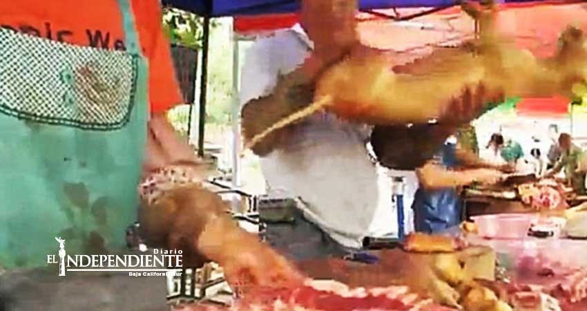 Desafían prohibición y chinos celebran fiesta de carne de perro