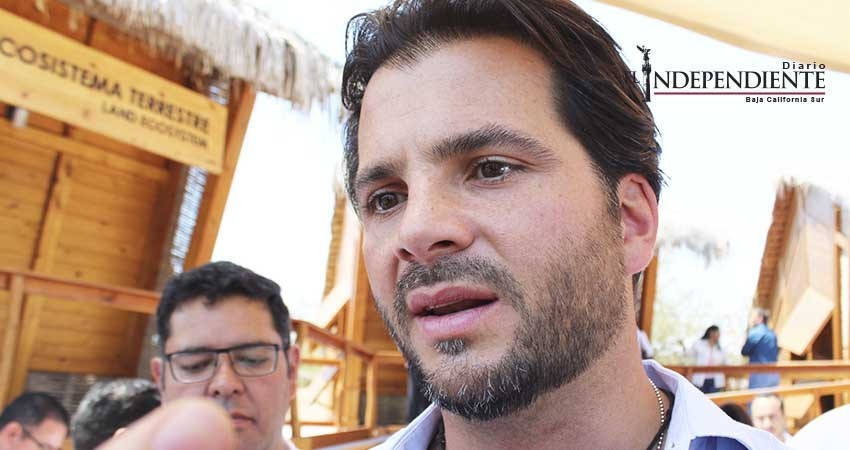 Sin precedentes acciones para el rescate de la vaquita marina, asegura Semarnat 
