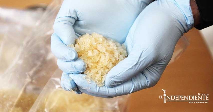 Asegura PGJE 650 dosis de cristal  mediante cateo en La Paz Asegura PGJE 650 dosis de cristal  mediante cateo en La Paz