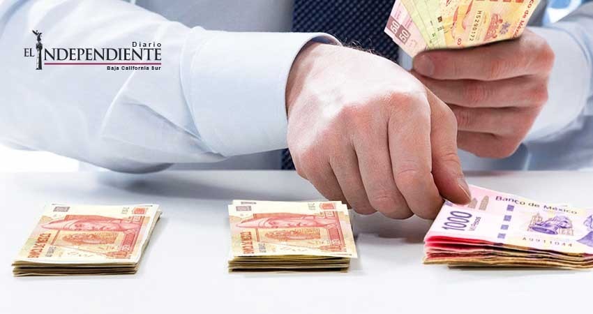 Denuncian a 42 empresas por no pagar utilidades en BCS Denuncian a 42 empresas por no pagar utilidades en BCS