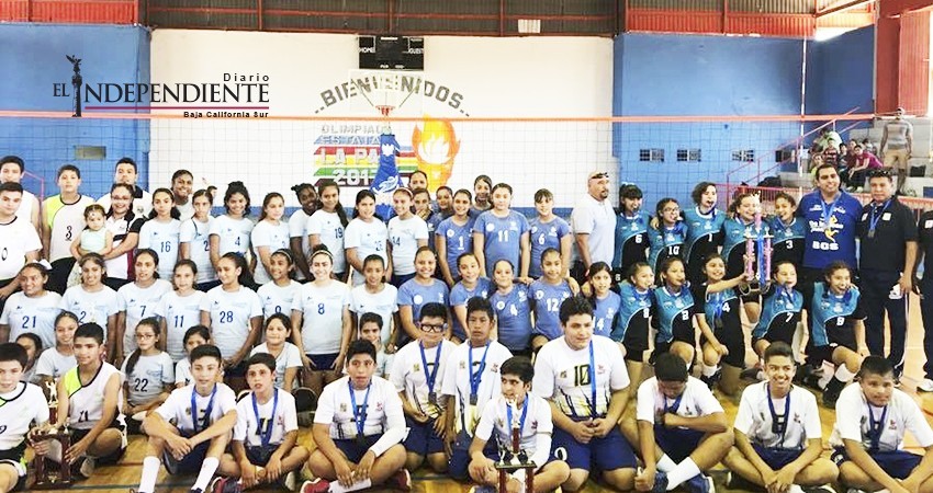  Realizan con éxito el festival infantil de voleibol
