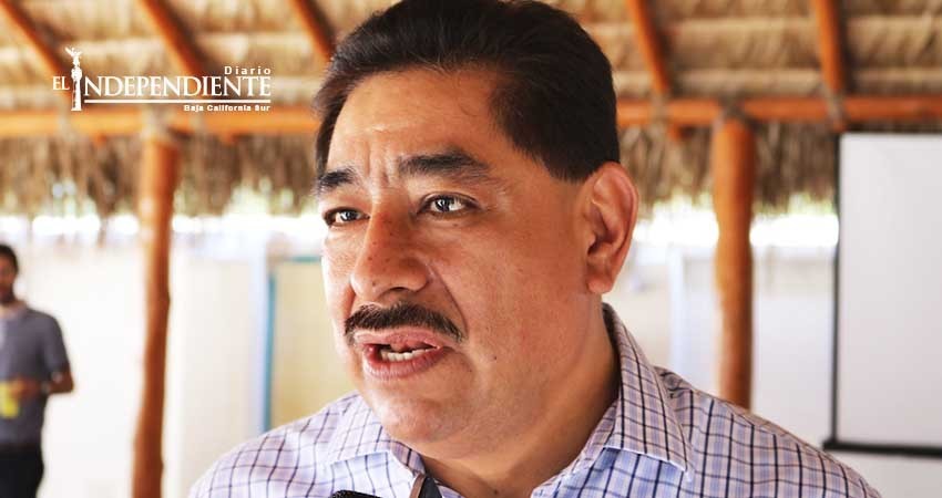 Docentes españoles ayudan a implementar nuevo modelo educativo: Jiménez Márquez