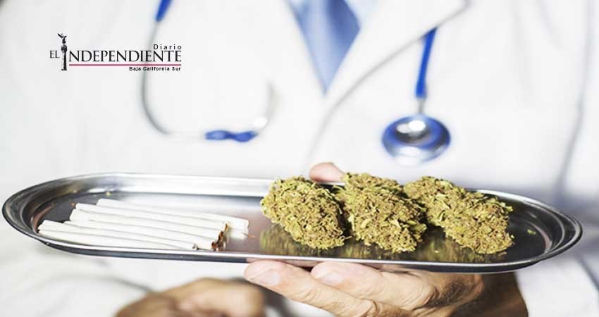 Comisión Edilicia de Salud pendiente de reglamentación de uso medicinal de la marihuana 