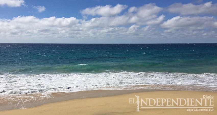 Una mancha de desechos fecales recorre el mar frente a Los Cabos Una mancha de desechos fecales recorre el mar frente a Los Cabos