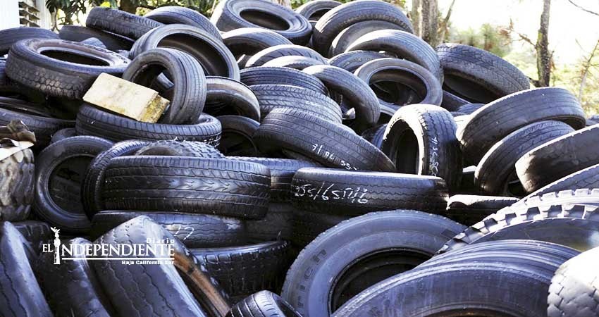 Rechazan vecinos de Chametla reapertura de recicladora de llantas Rechazan vecinos de Chametla reapertura de recicladora de llantas