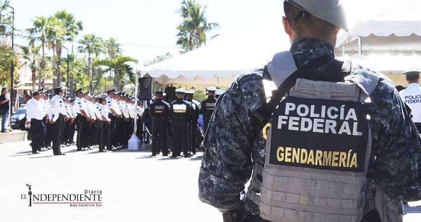 Estrategias en el combate a la violencia carecen de integración social: Silvia Lupian