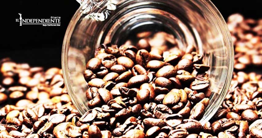 Aprender a beber bien tu café puede ayudarte a bajar de peso Aprender a beber bien tu café puede ayudarte a bajar de peso