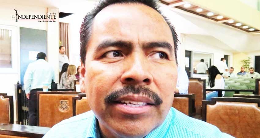 Dirigentes del PAN deben entender que no somos “borregos”: Zamora