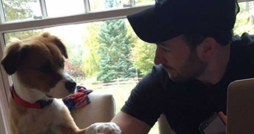 El Capitán América y el tierno reencuentro con su perro El Capitán América y el tierno reencuentro con su perro