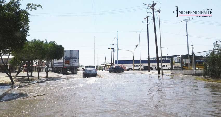 Aguas estancadas frente a Pepsi dejan malos olores a los vecinos Aguas estancadas frente a Pepsi dejan malos olores a los vecinos
