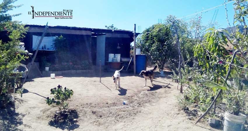 Que se dé solución real a la generación de asentamientos humanos: Amigos de Cabo San Lucas (CSL) Que se dé solución real a la generación de asentamientos humanos: Amigos de Cabo San Lucas (CSL)